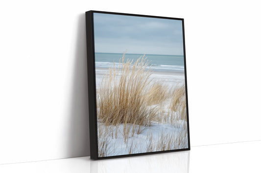 Tides That Kiss the Dunes