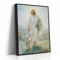 Guided By Gentle Steps