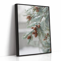 Frosted Pines Hold Their Secrets