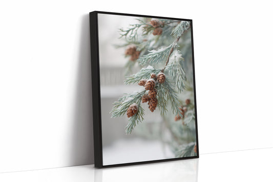 Frosted Pines Hold Their Secrets