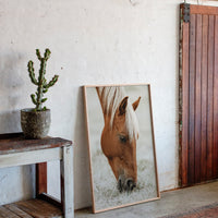 Quiet Morning Graze with Golden Mane