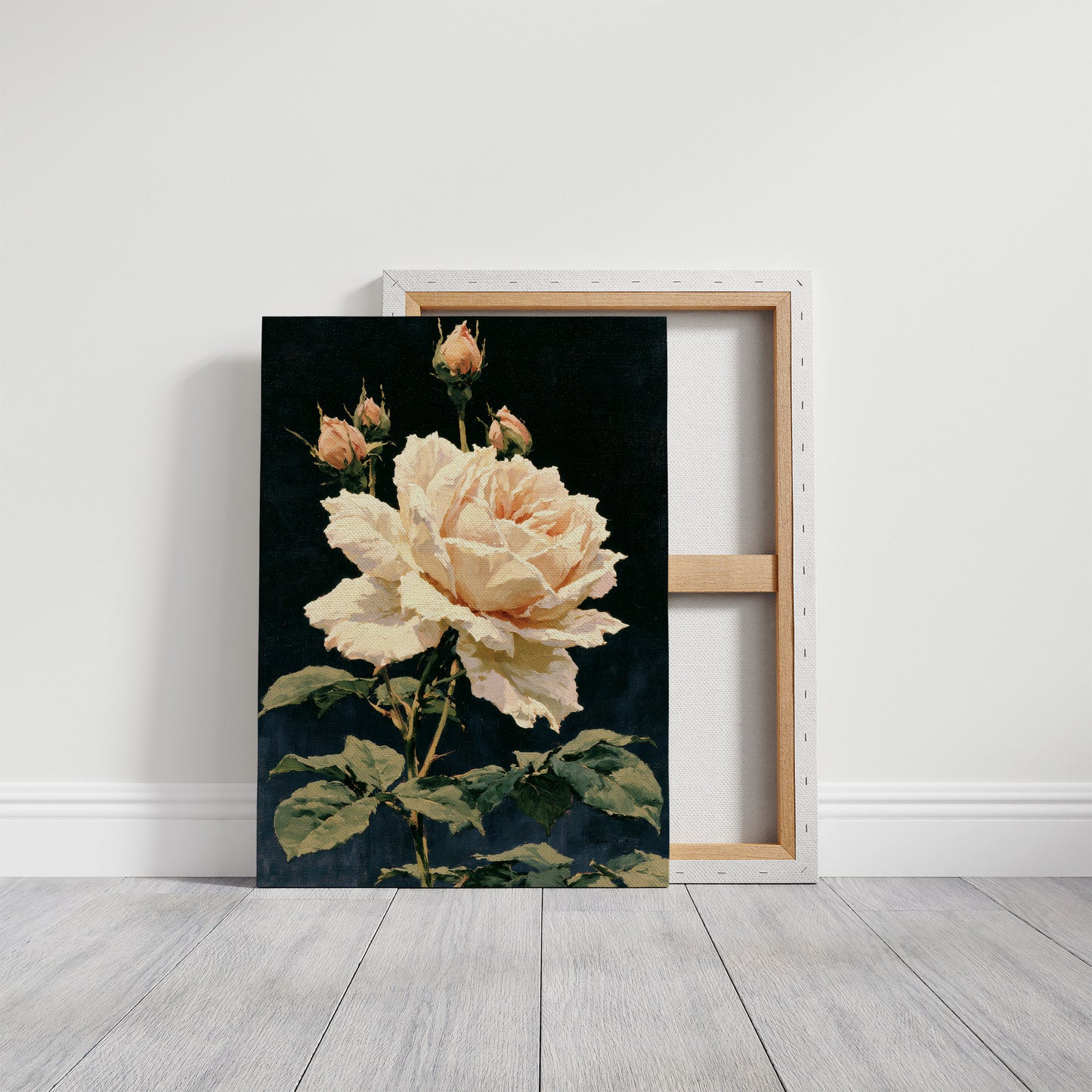 Peach Rose in Midnight