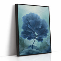 Indigo Flora In Morning Light