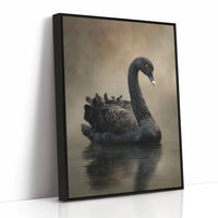 Elegance Adrift on Still Waters