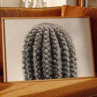 Spines Dance In Silver Light