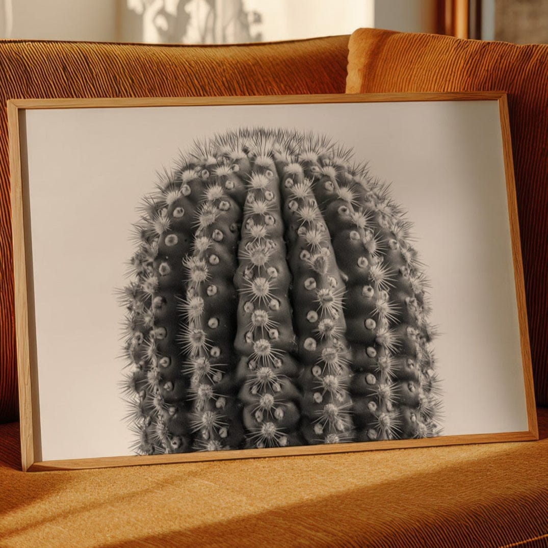 Spines Dance In Silver Light