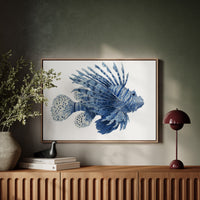 Ocean's Indigo Dancer Takes Flight