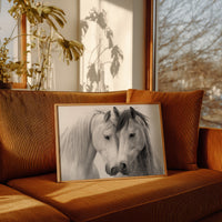 Gentle Souls Share Morning Light