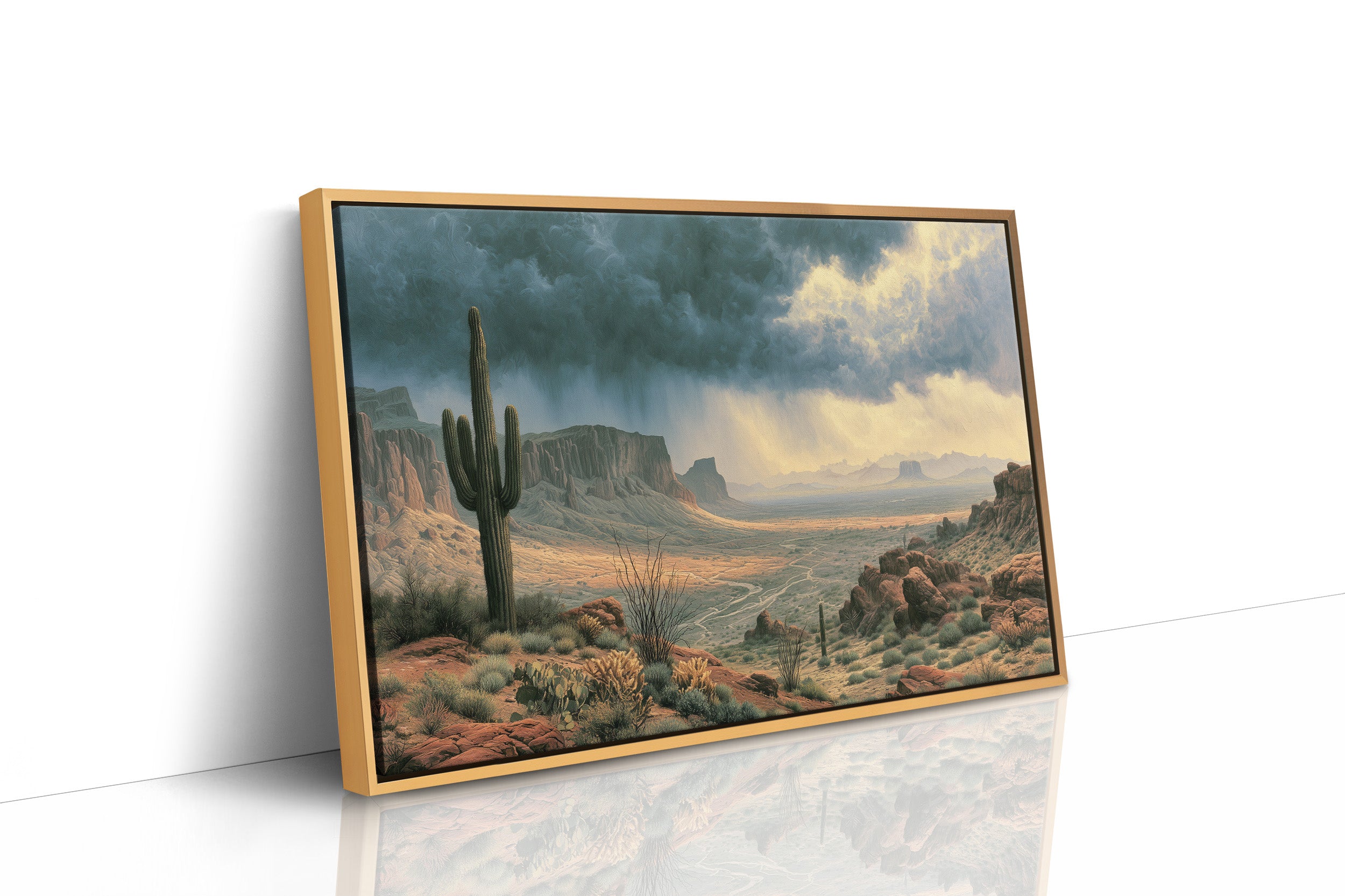 Rain Sweeping the Sonoran Basin