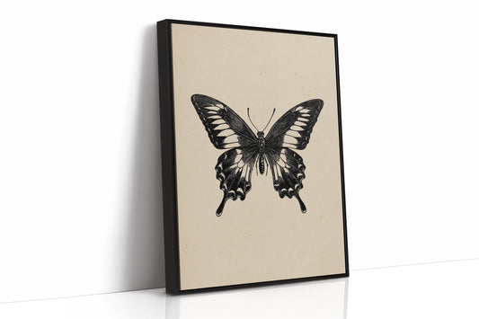 A Flutter Beneath Ancient Pages
