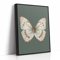 A Dance of Delicate Wings
