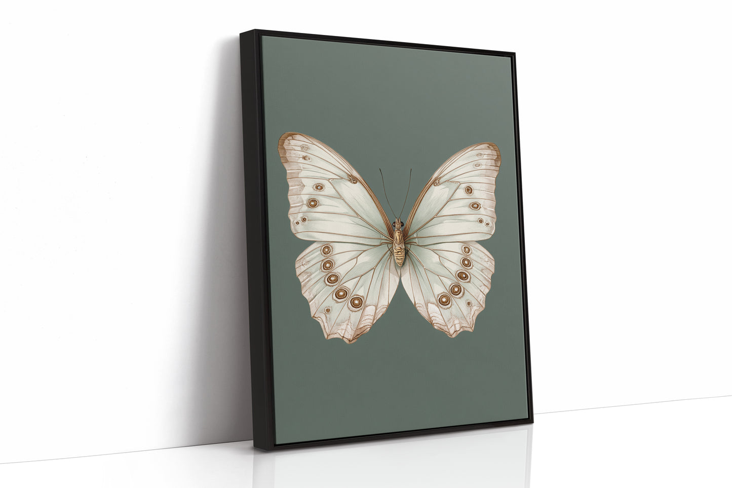 A Dance of Delicate Wings