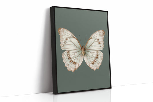 A Dance of Delicate Wings