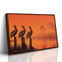 Three Pelicans, Zero Fish Caught