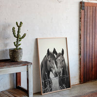 Close Companions at the Fence Line