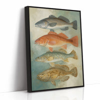 Coastal Species In Vintage Calm