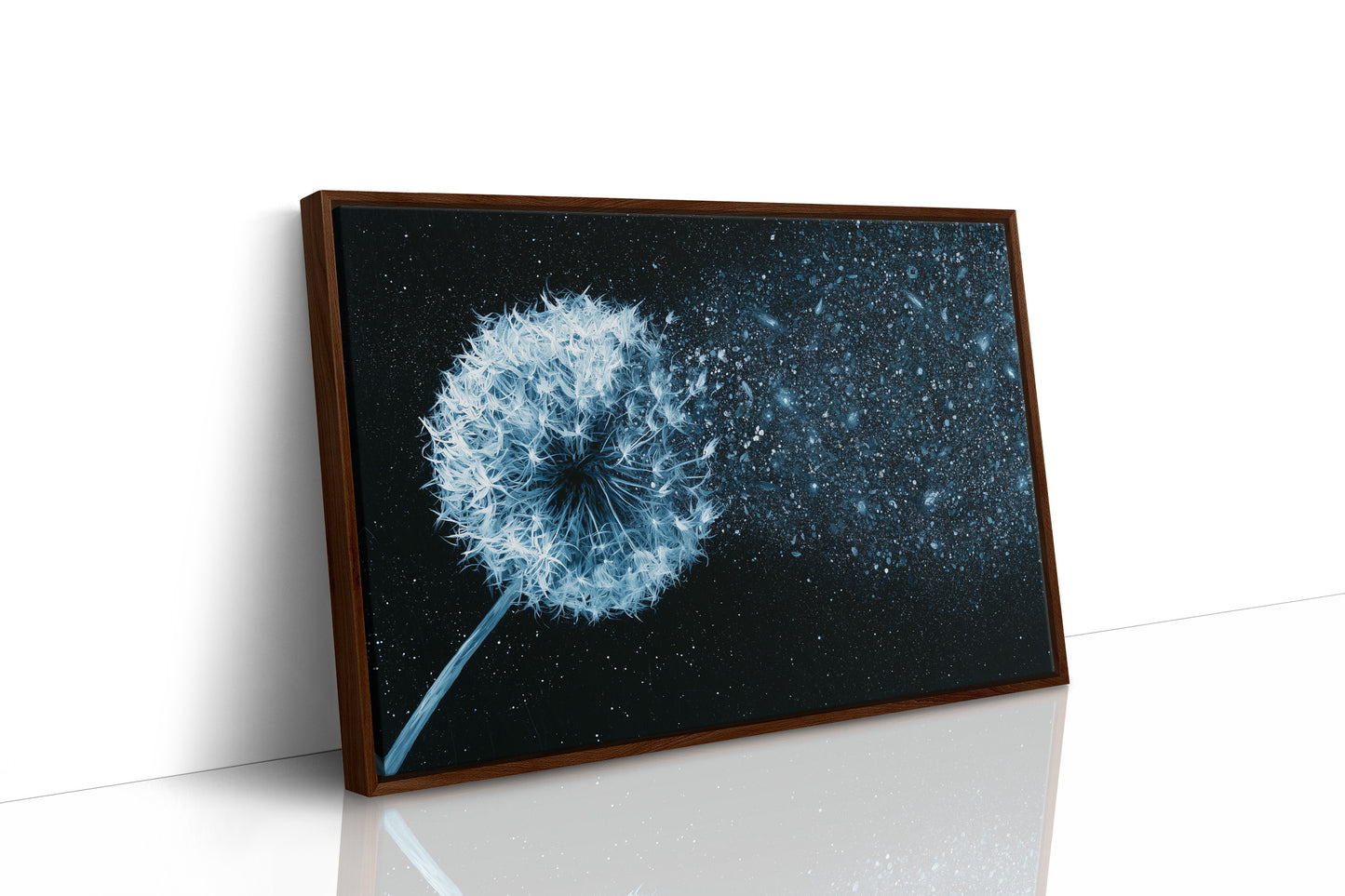 Dandelion Becomes Stardust