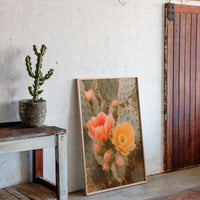 Blooming Cactus in Desert Light