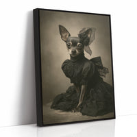 Lady of the Regal Chihuahua