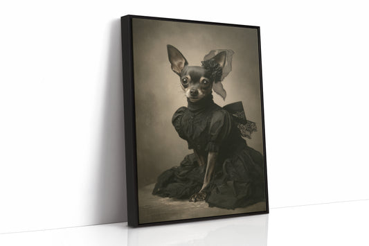 Lady of the Regal Chihuahua