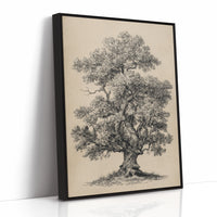 Wisdom Woven in Branches