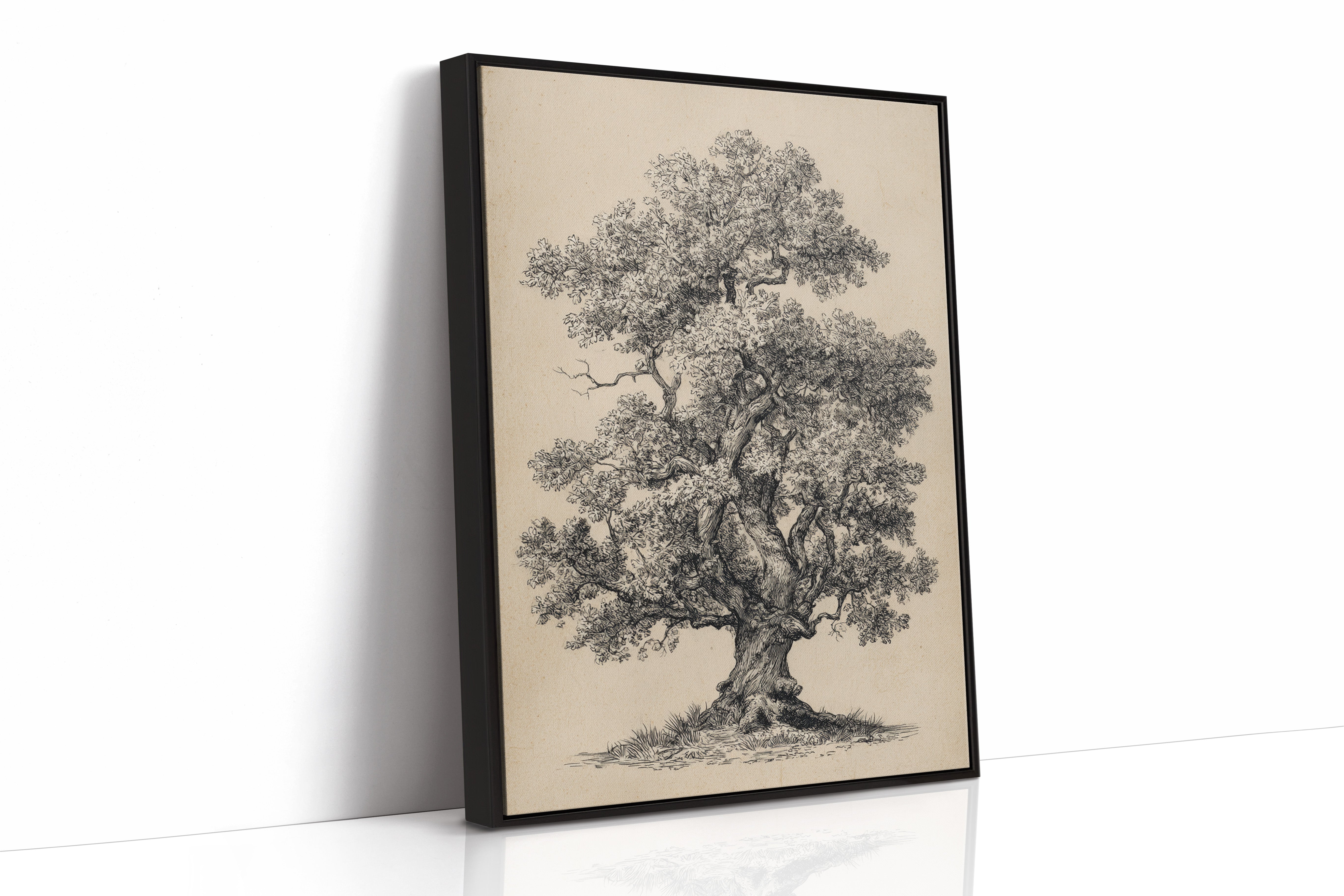Wisdom Woven in Branches