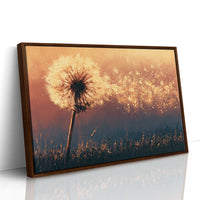 Dandelion Ablaze at Dusk