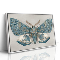 Azure Wings Among Leather Spines