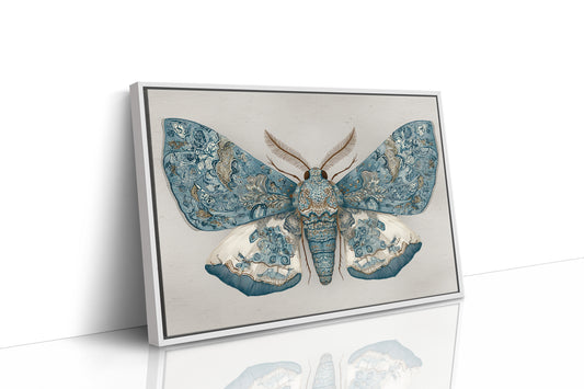 Azure Wings Among Leather Spines