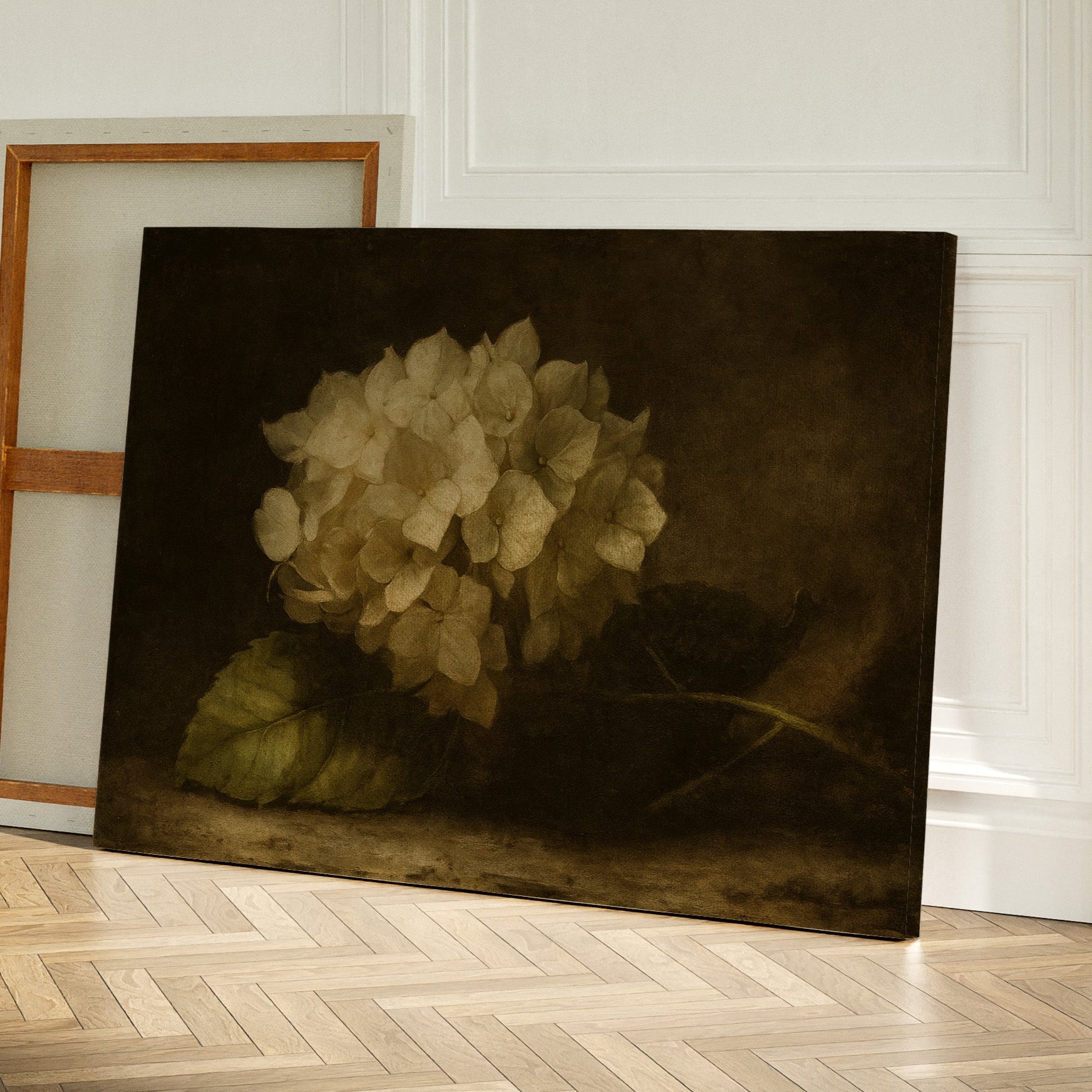 Faded Elegance Hydrangea