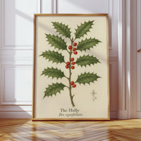 The Holly Botanical Art Print