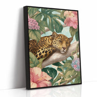 Napping Among Tropical Secrets