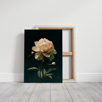 Ivory Peony, Dutch Master Mood