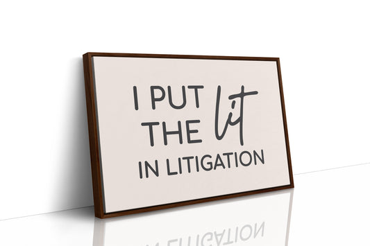 I Put The Lit In Litigation