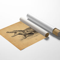 Ancient Scales Tell Bayou Tales