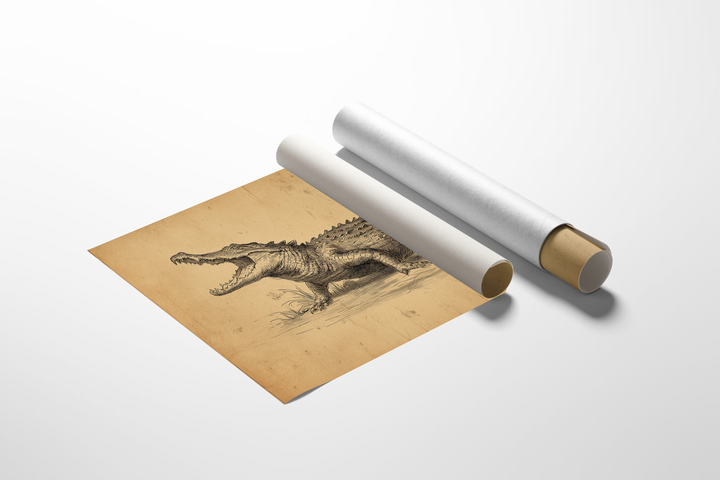 Ancient Scales Tell Bayou Tales