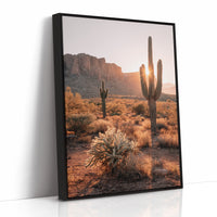 Sunlit Giants in Arid Embrace