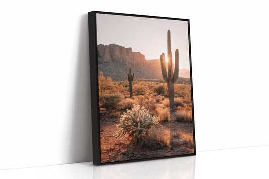 Sunlit Giants in Arid Embrace