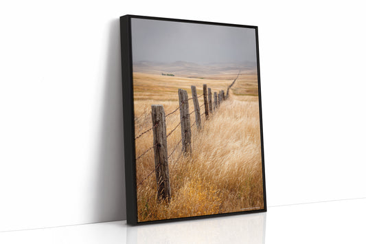 Fences That Tell Forgotten Tales