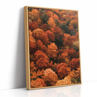 Maximum Maple Volume