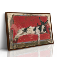 Donkey Takes the Couch