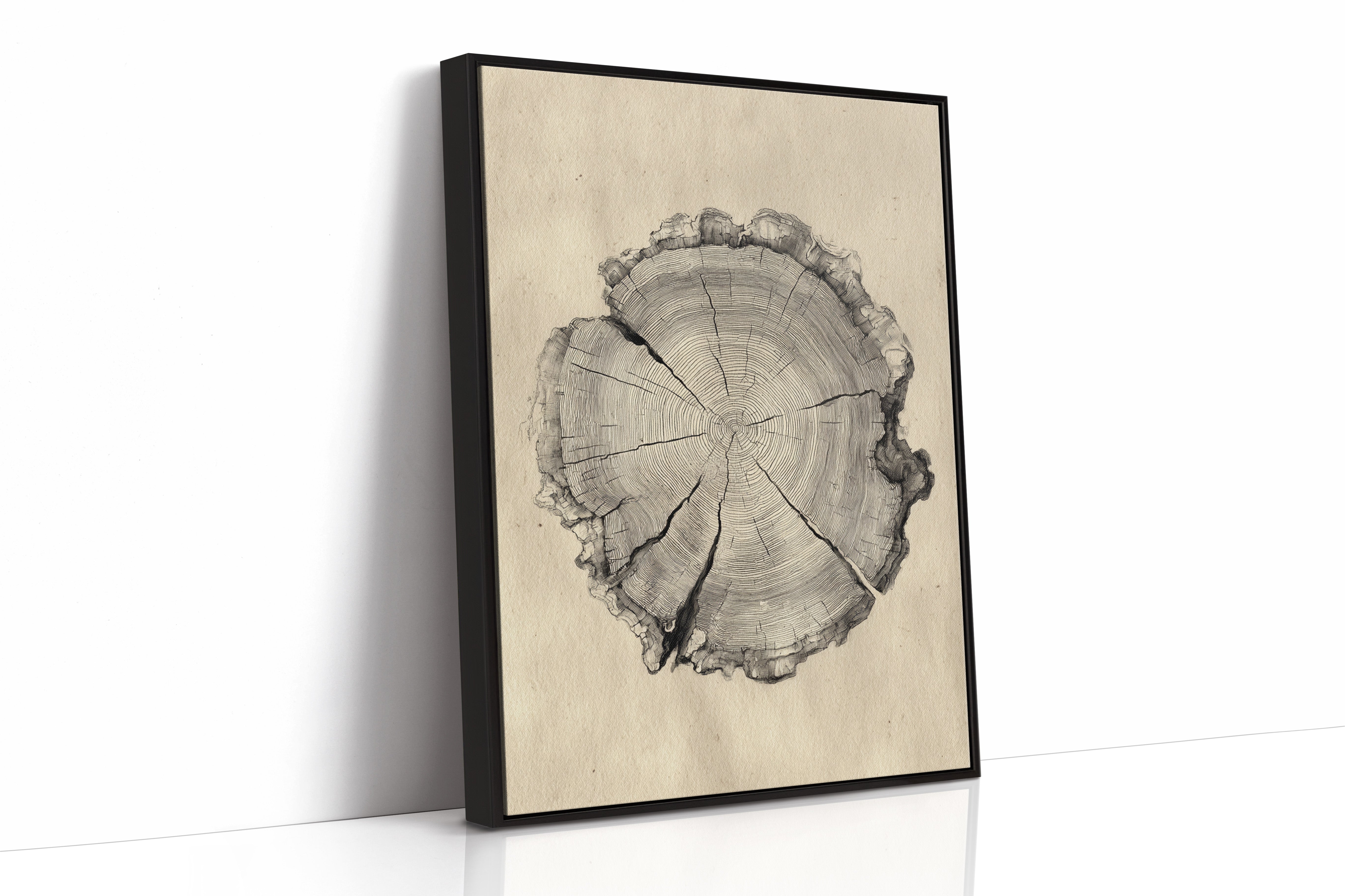 Chronicles Etched in Time