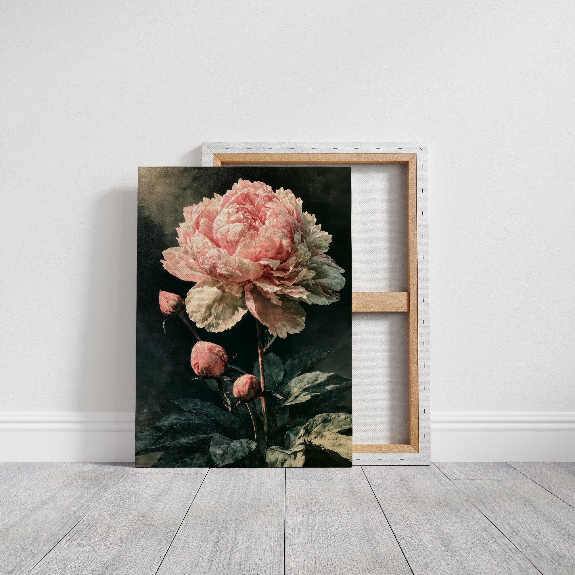 Peony Caught in Corner Light