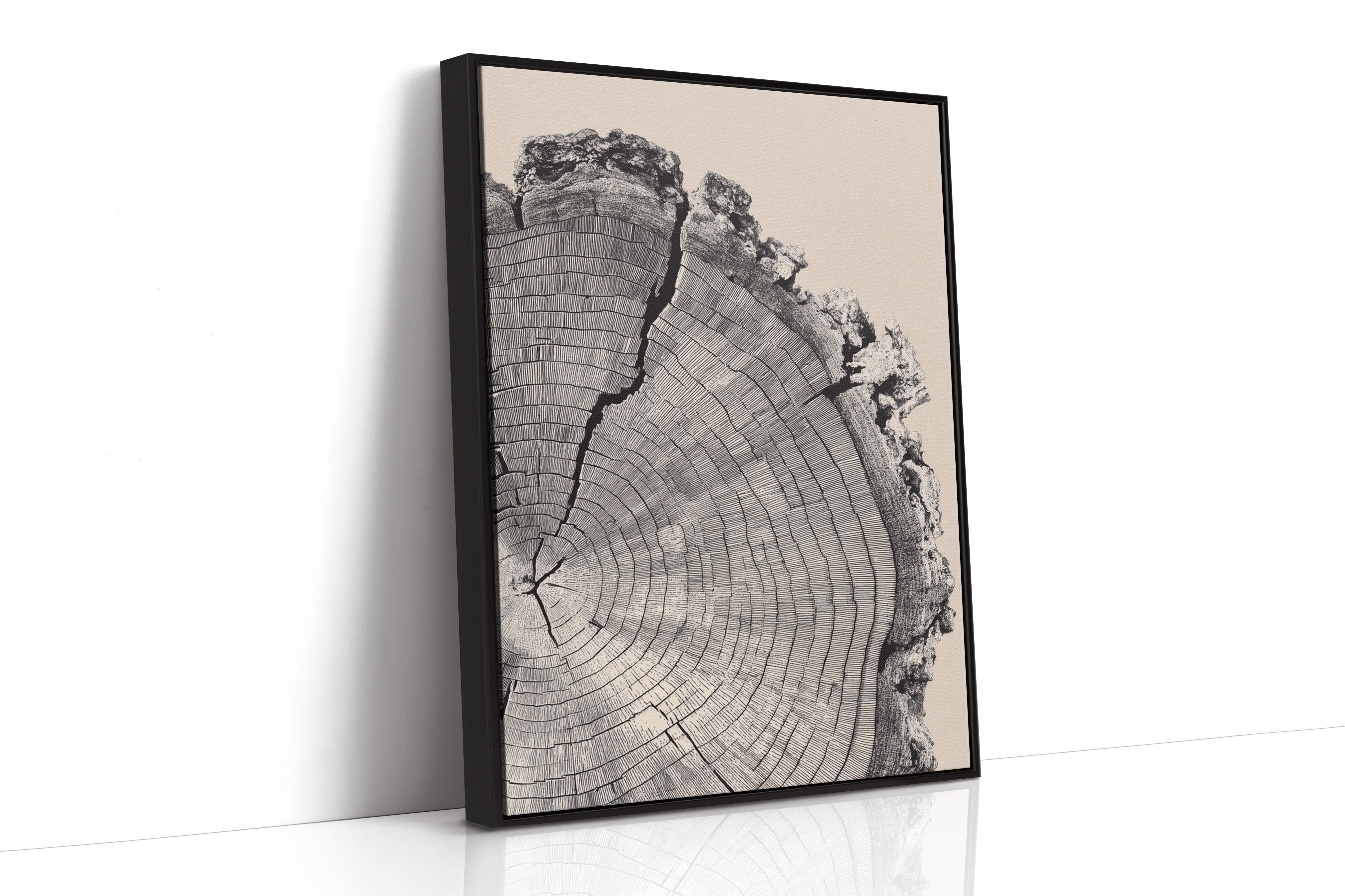 Cross-Section of Time