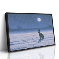 The Hare and the Full Moon