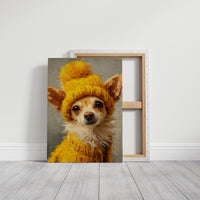 Tiny Dog, Maximum Outfit