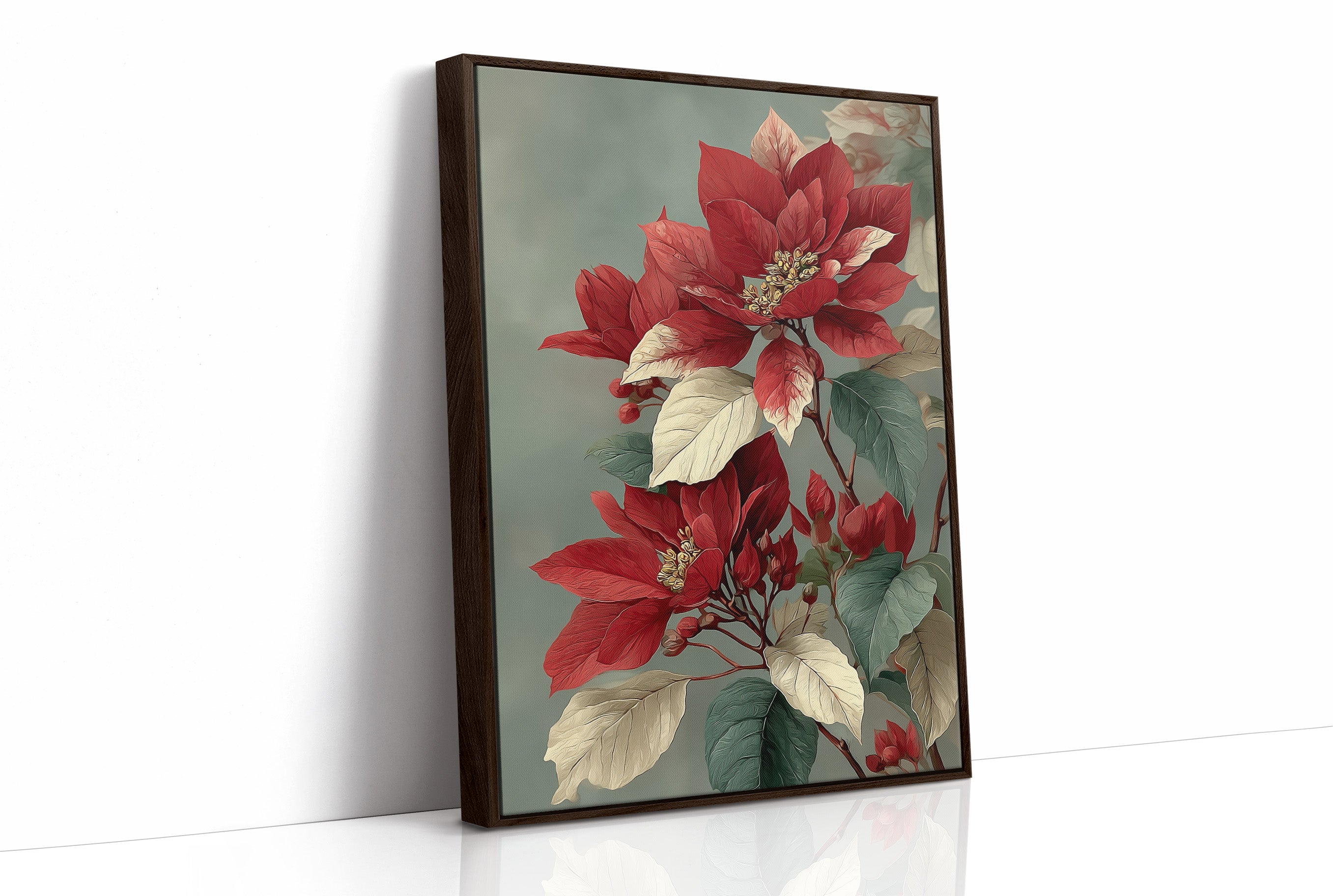 Poinsettia in Red and Cream