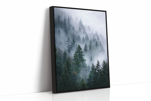 Veil of Mist Among Giants