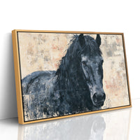 Midnight Mane, Quiet Gaze