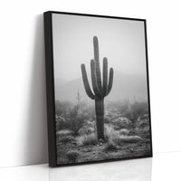 Cactus Standing Against The Mist